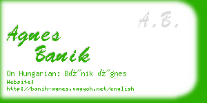 agnes banik business card